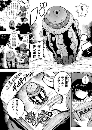 情報なし b073bktcm07189 菊薊薫