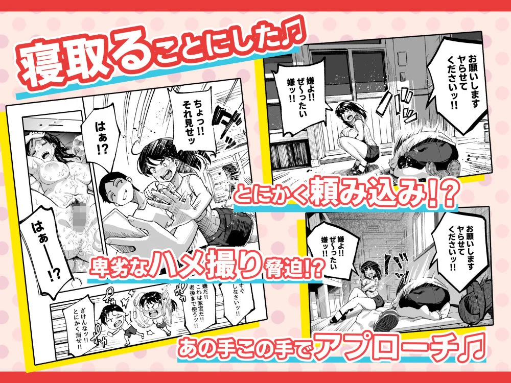 スルメニウム d_177445 スルメニウム