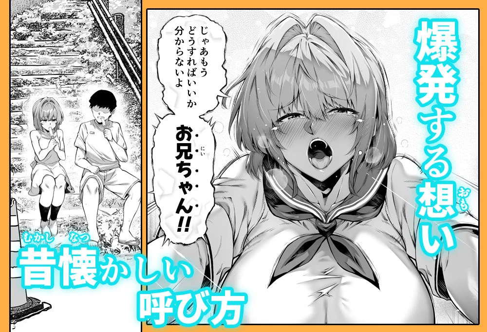 水蓮の宿 d_712912 水蓮の宿