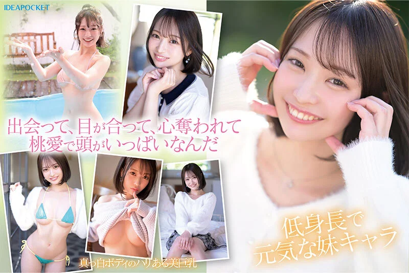 ティッシュ ipzz00713 堀北桃愛