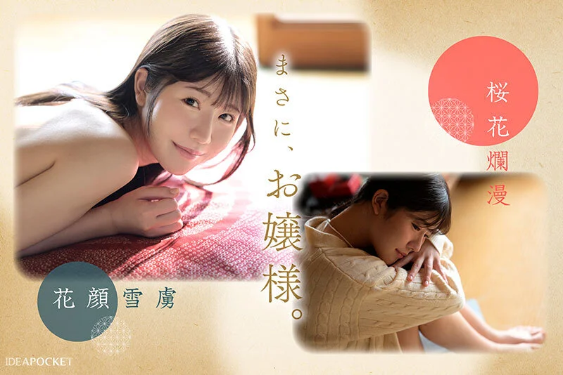 ティッシュ ipzz00731 坂井美桜